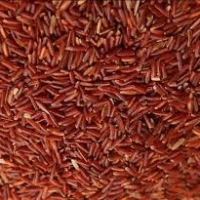 red rice