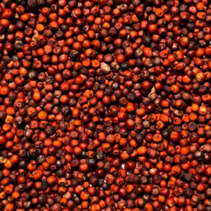 finger millet (రాగులు)